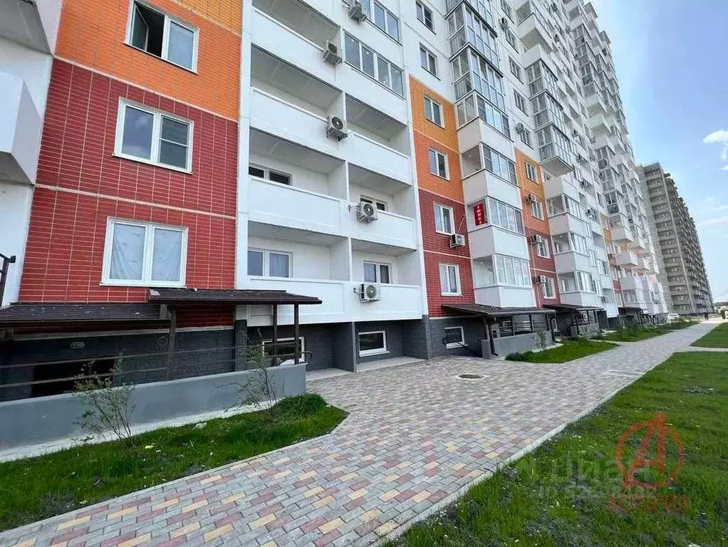 Посейдон ул мурата ахеджака 10а новороссийск фото