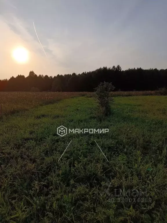 Участок в Пермский край, Нытвенский муниципальный округ, Егорово тер.  ... - Фото 0
