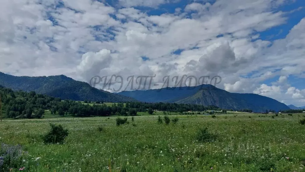 Участок в Алтай, Чемальский район, с. Анос Центральная ул., 41 (36.0 ... - Фото 0