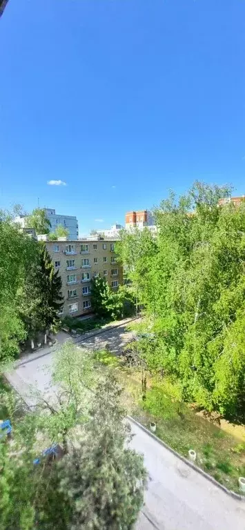 1-к кв. Московская область, Коломна ул. Ленина, 74 (20.9 м) - Фото 0
