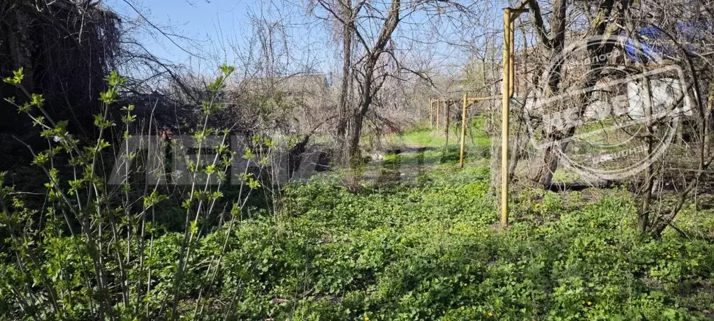 Участок в Ростовская область, Азовский район, Рогожкино хут. ... - Фото 1