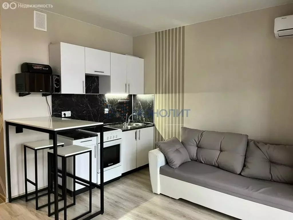 Квартира-студия: Анкудиновка, Русская улица, 19 (25 м) - Фото 1