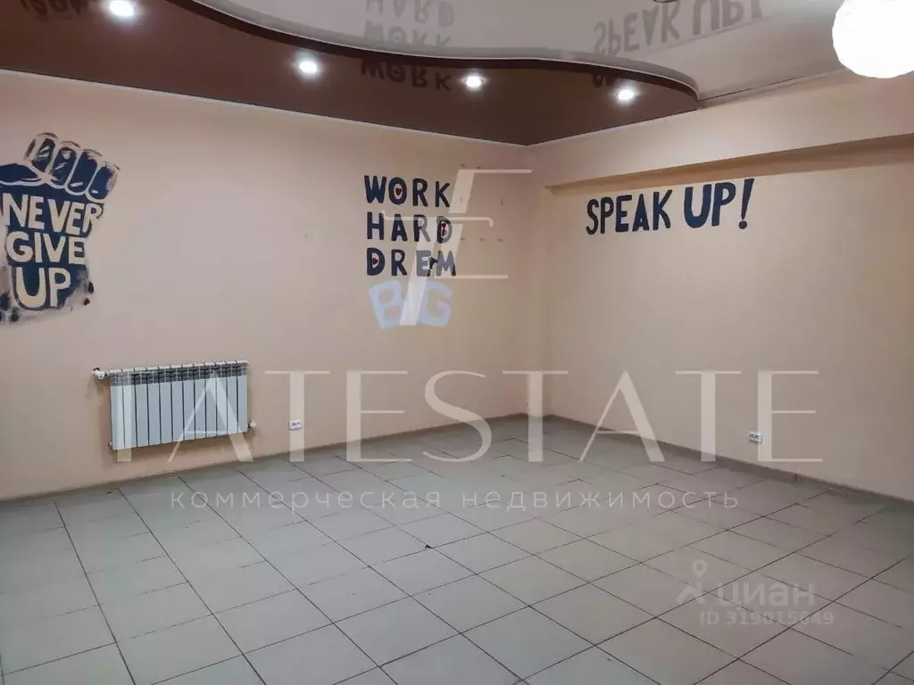 Помещение свободного назначения в Татарстан, с. Пестрецы ул. ... - Фото 1