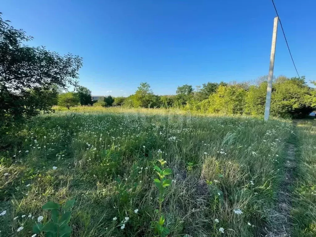 Участок в Белгородская область, Строитель Яковлевский городской округ, ... - Фото 1