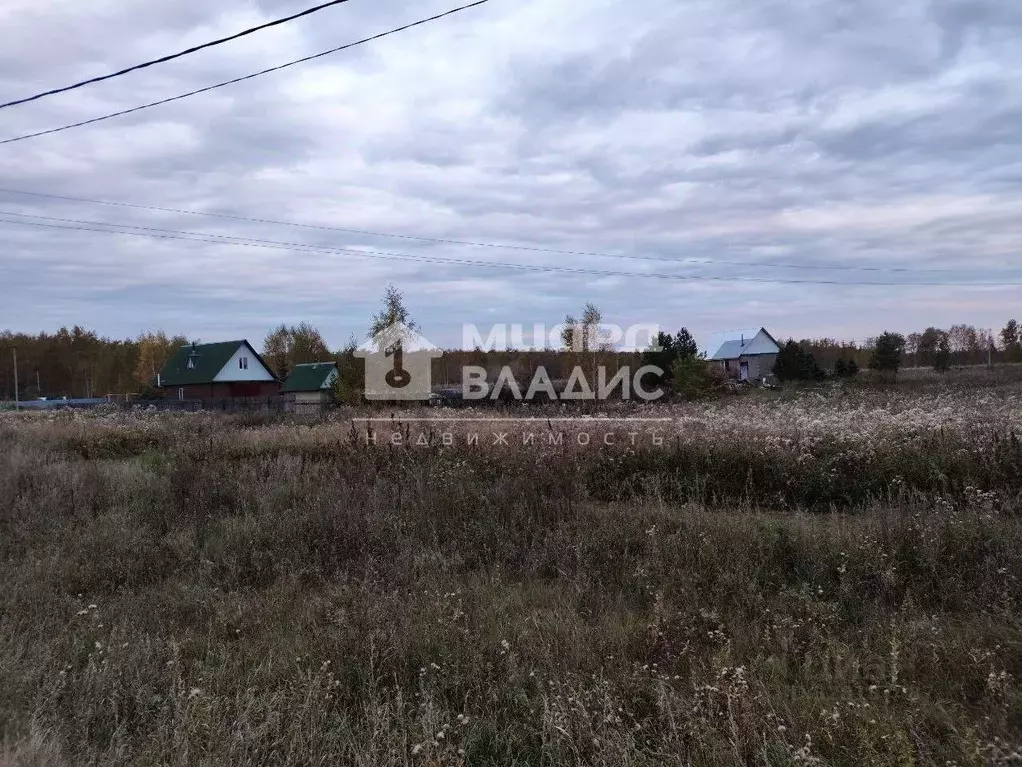 Участок в Омская область, Омский район муниципальный округ, д. ... - Фото 2