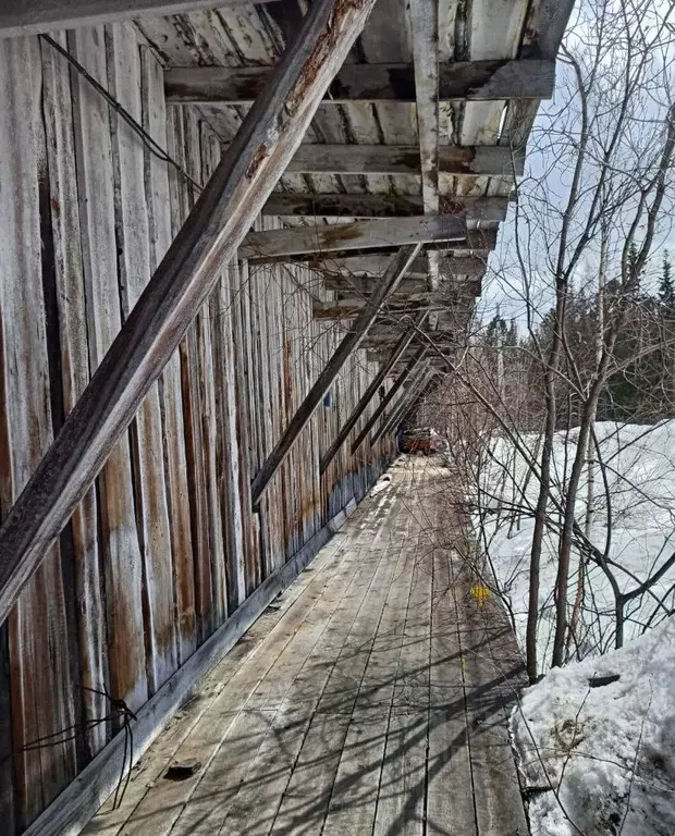 Помещение свободного назначения в Ямало-Ненецкий АО, Красноселькупский ... - Фото 1