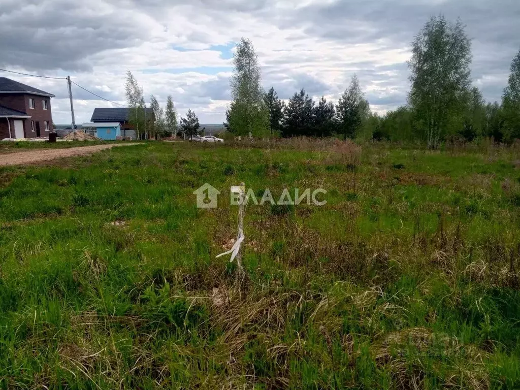 Участок в Нижегородская область, Богородский муниципальный округ, д. ... - Фото 0