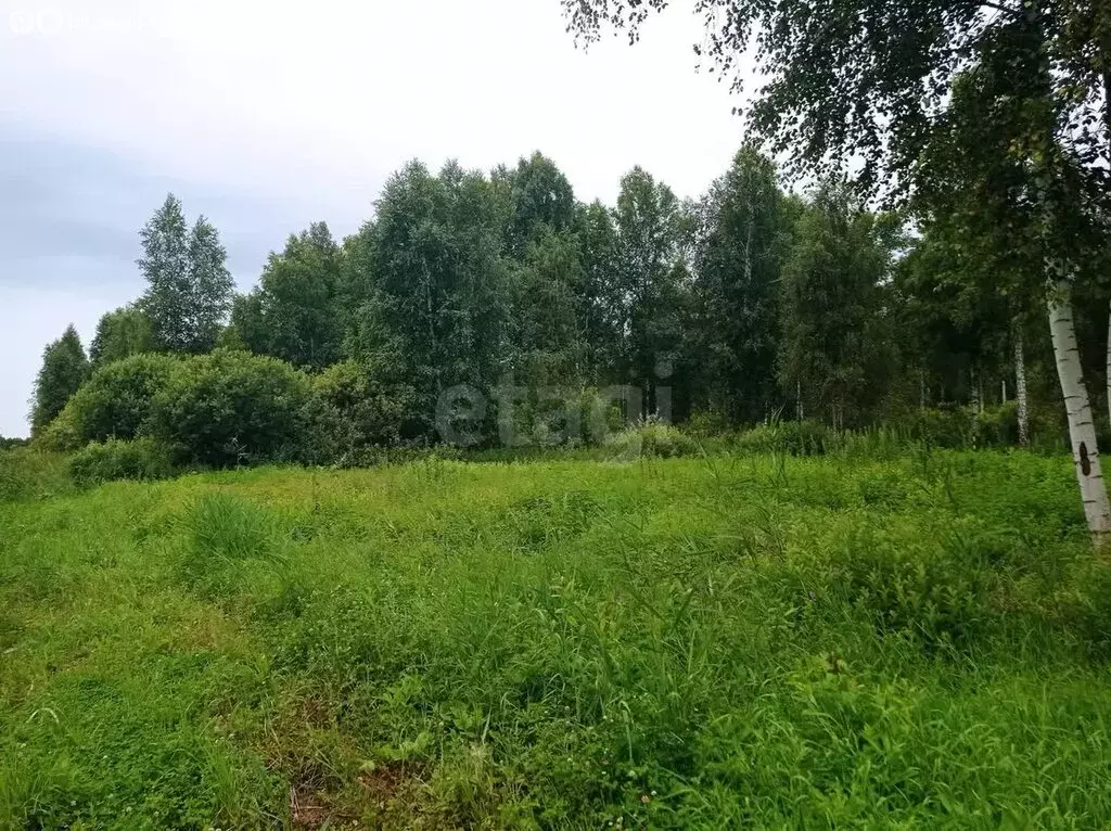 Участок в Нижнетавдинский район, СНТ Сочинские, 32-я линия (9 м) - Фото 1