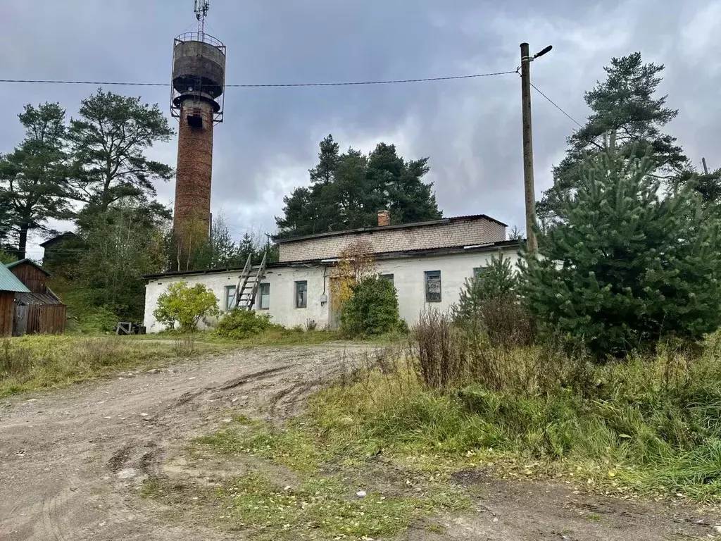 Помещение свободного назначения в Карелия, Пряжинский район, пос. ... - Фото 0