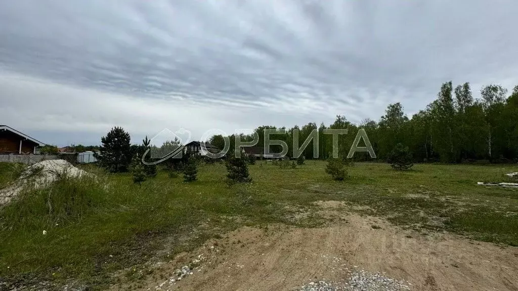 Участок в Тюменская область, Тюменский район, Новокаменский кп ул. ... - Фото 1