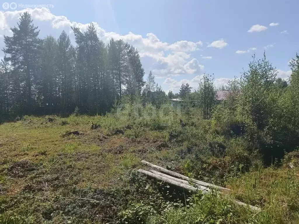 Участок в Выльгорт, СДТ Помидор, проезд 3-2 (10 м) - Фото 1