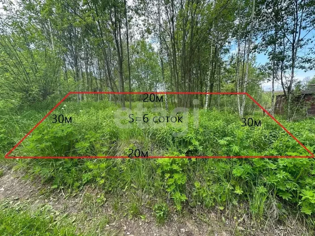 Участок в Брянская область, Брянский район, Добрунское с/пос, д. ... - Фото 1