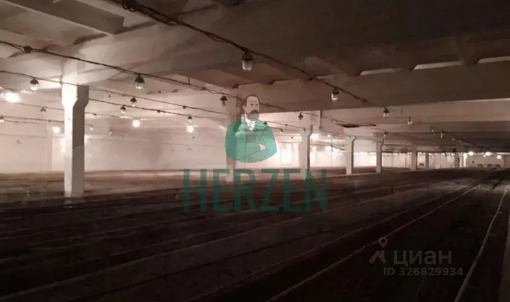 Производственное помещение в Московская область, Клин городской округ, ... - Фото 2