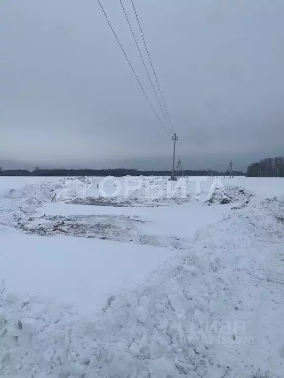 Участок в Тюменская область, Тюменский район, с. Горьковка  (7.0 сот.) - Фото 1