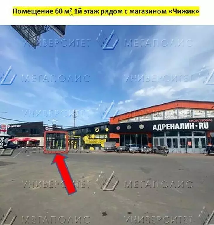 Помещение свободного назначения (100 м) - Фото 1