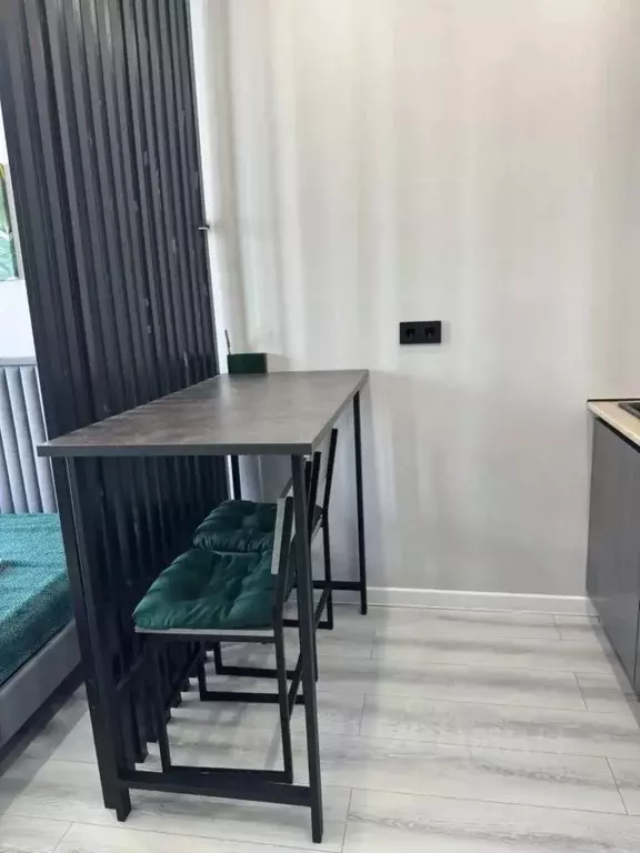 Студия Краснодарский край, Сочи ул. Искры, 88к6 (24.5 м) - Фото 2