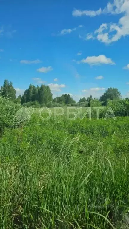 Участок в Тюменская область, Нижнетавдинский район, Моторостроитель ... - Фото 1