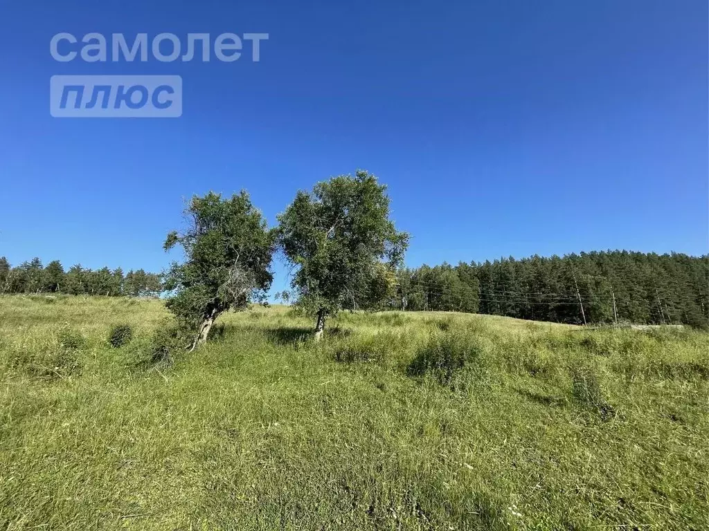 Участок в Алтайский край, Алтайский район, с. Нижнекаянча ул. ... - Фото 1