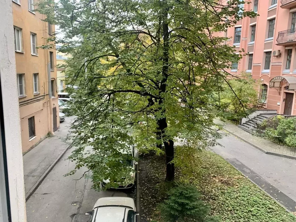 Комната Санкт-Петербург Малодетскосельский просп., 28а (14.4 м) - Фото 2