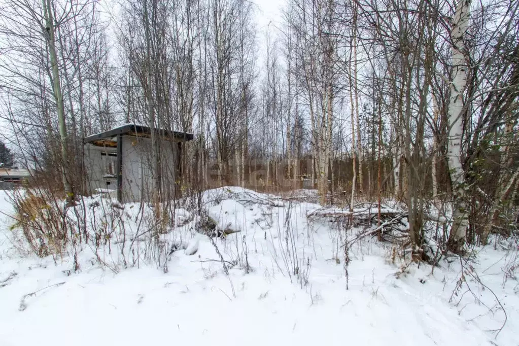 Участок в Ханты-Мансийский АО, Сургут Газовик СНТ, ул. Брусничная ... - Фото 0