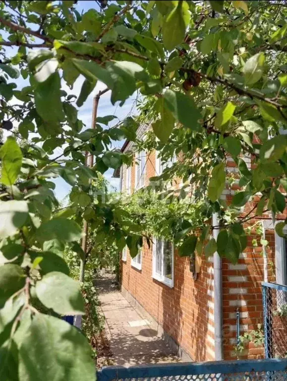 Дом в Краснодарский край, Апшеронск ул. Селезнева, 6 (118 м) - Фото 1