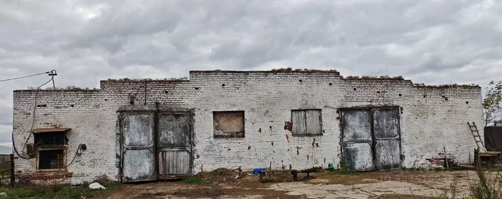 Склад в Московская область, Истра муниципальный округ, пос. ... - Фото 1