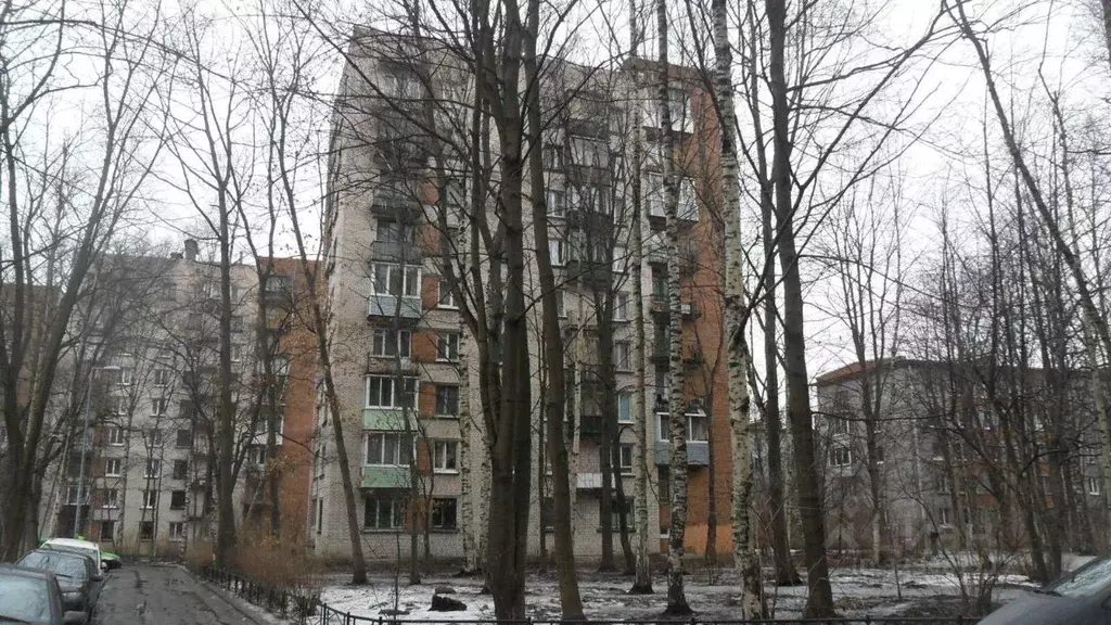 1-к кв. Санкт-Петербург просп. Тореза, 38к6 (34.2 м) - Фото 1