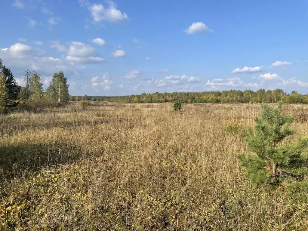 Участок в Свердловская область, Первоуральск городской округ, пос. ... - Фото 2