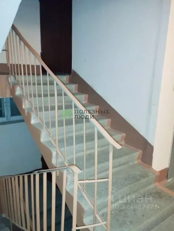 3-к кв. Курганская область, Курган Заозерный жилрайон, 1-й мкр, 25А ... - Фото 2