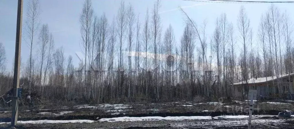 Участок в Новосибирская область, Новосибирский район, Станционный ... - Фото 0