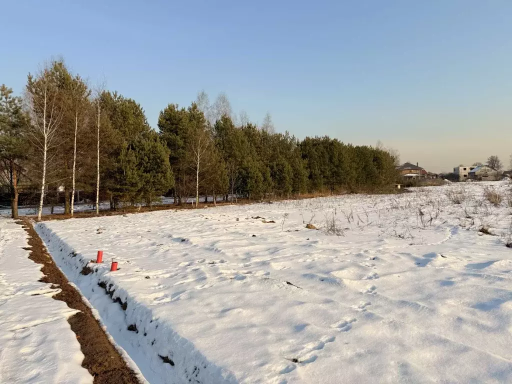 Участок в Московская область, Пушкинский городской округ, с. ... - Фото 1