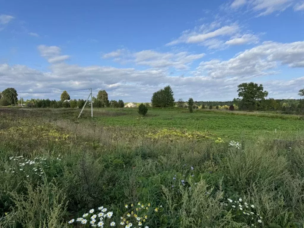 Участок в Кировская область, Слободской район, Шиховское с/пос, д. ... - Фото 0