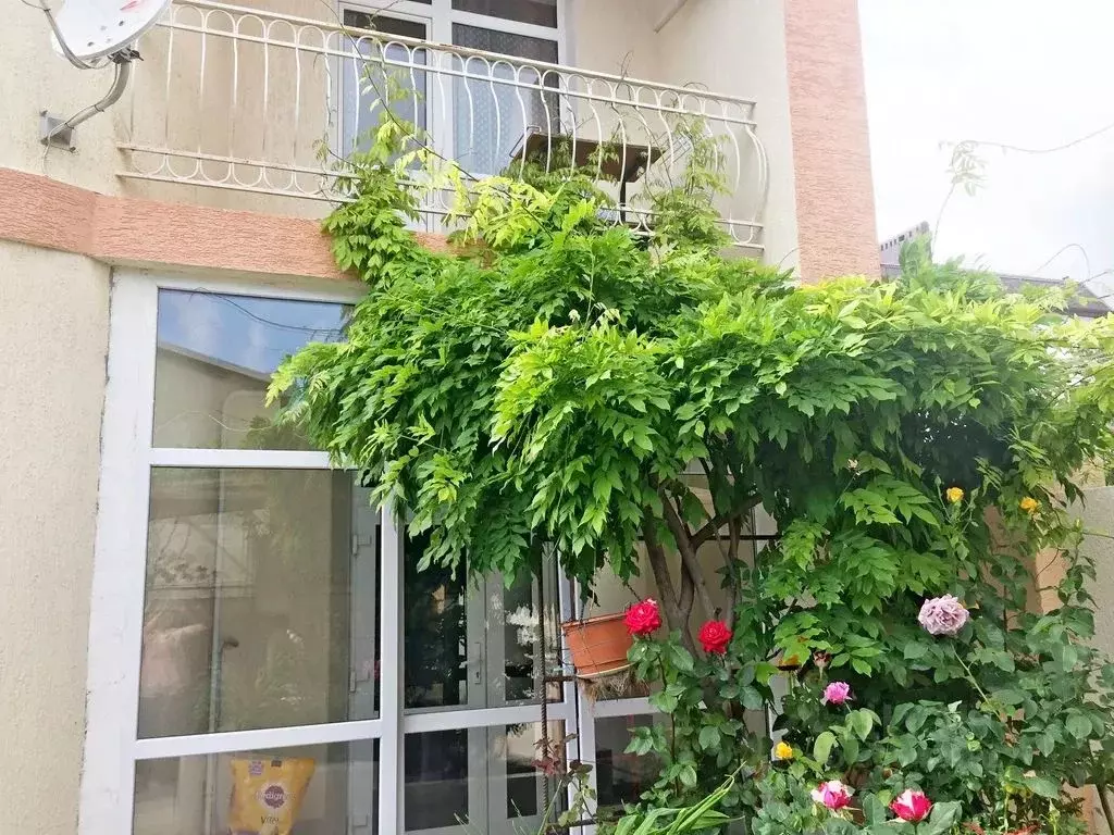 Дом в Краснодарский край, Геленджик Лавровая ул., 18 (160 м) - Фото 1