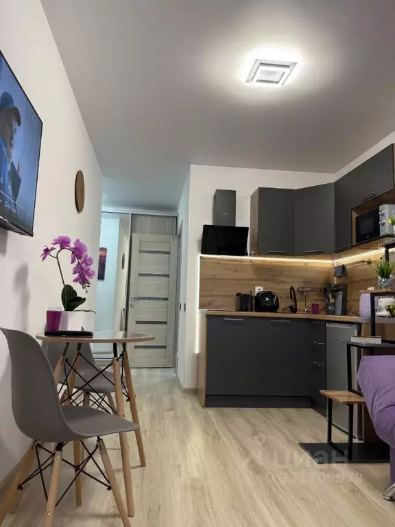 Студия Крым, Сакский район, с. Фрунзе ул. Мира, 27А (27.0 м) - Фото 2