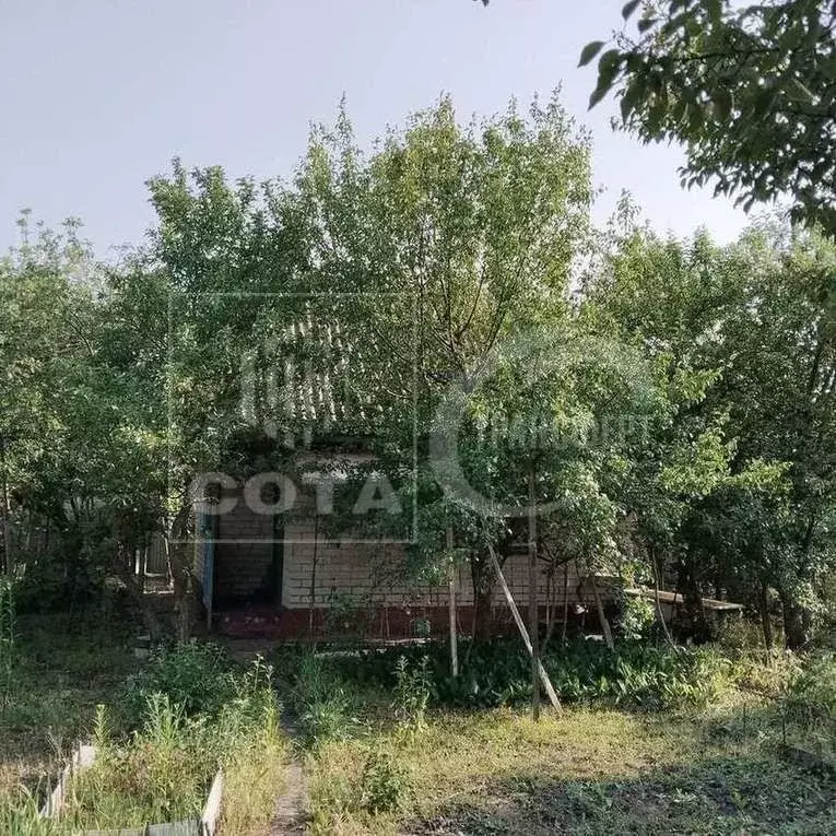 Дом в Воронежская область, Воронеж Южный СДТ, 99 (30 м) - Фото 1