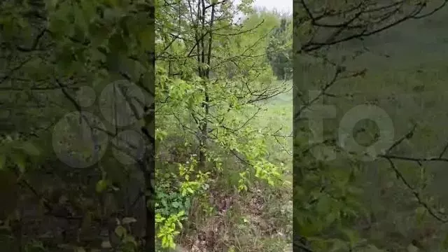 Участок 10 сот. (ИЖС) - Фото 1