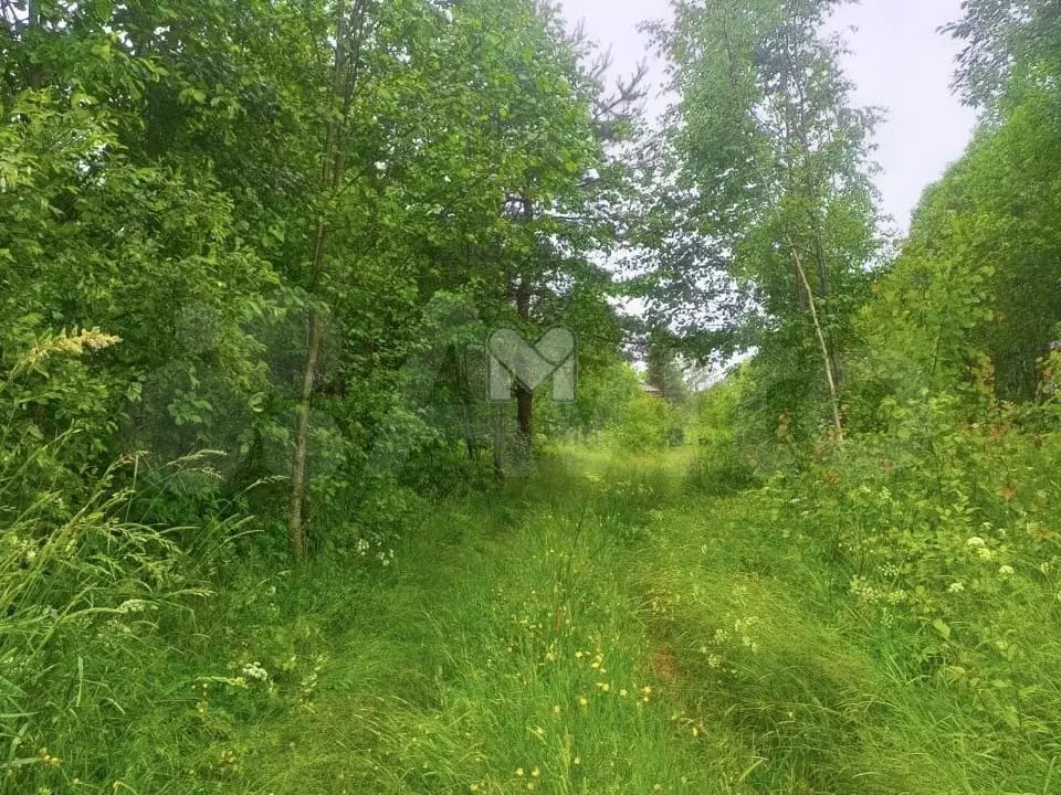 Участок 13,9 сот. (личное подсобное хозяйство (лпх)) - Фото 1