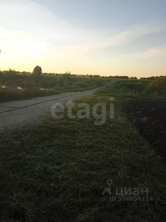 Участок в Мордовия, Рузаевский район, пос. Совхоз № 3 ДОРУРС  (1615.0 ... - Фото 2