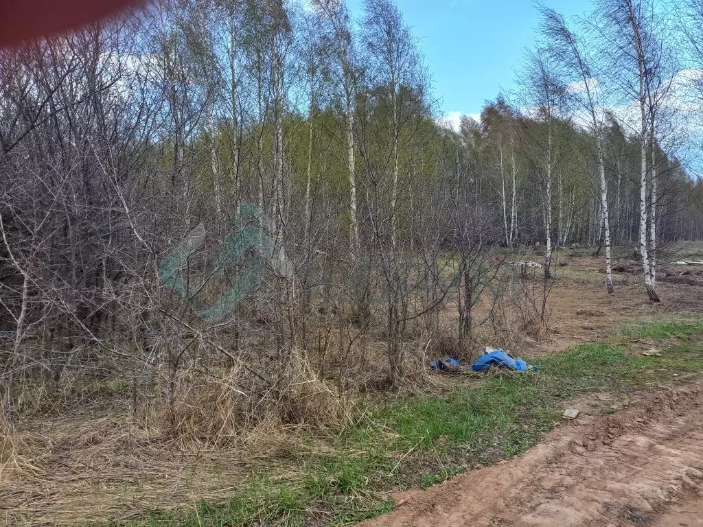 Купить Дачу В Лисьих Ямках Нижегородской Области