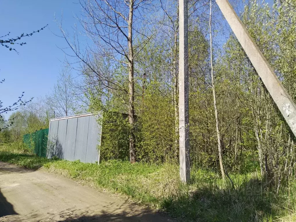 Участок в Ленинградская область, Кировское городское поселение, ... - Фото 1