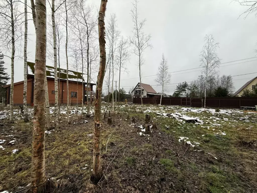 Участок в Санкт-Петербург, Санкт-Петербург, Павловск Павловское-1 СНТ, ... - Фото 1