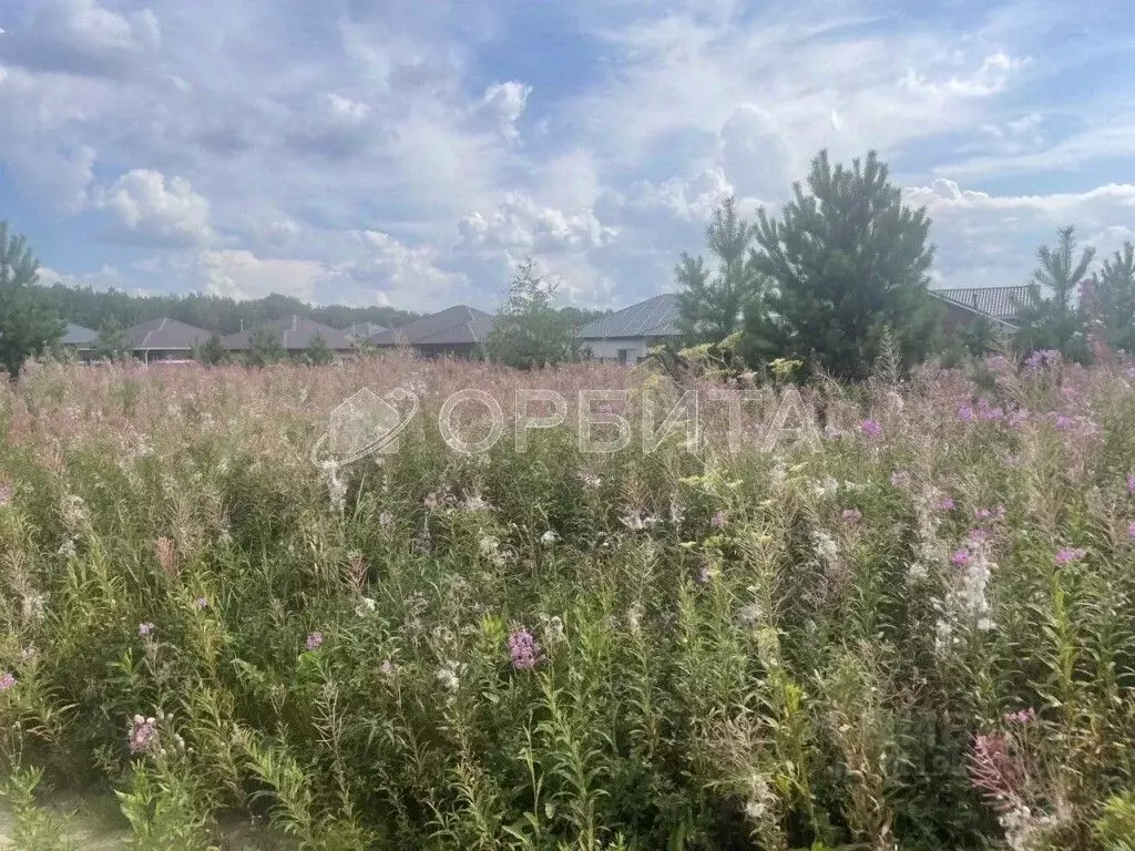 Участок в Тюменская область, Тюменский район, д. Елань 14 (7.0 сот.) - Фото 0