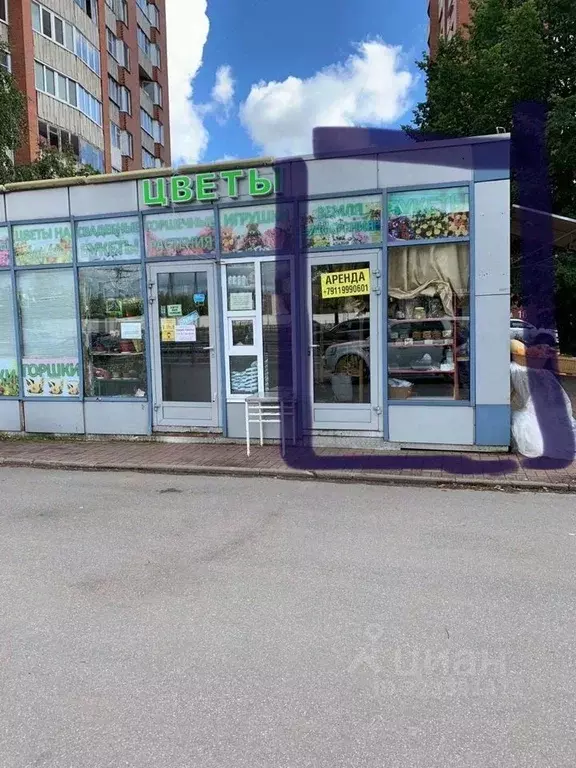 Торговая площадь в Санкт-Петербург Светлановский просп., 81/21 (13 м) - Фото 2