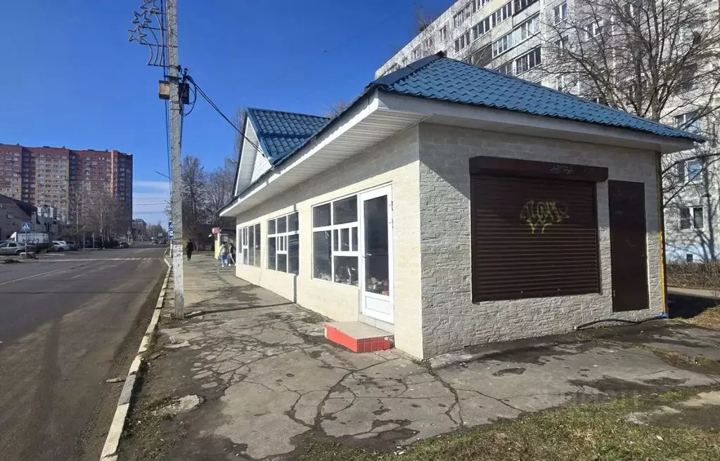 Торговая площадь в Московская область, Воскресенск Новлянский мкр, ул. ... - Фото 2