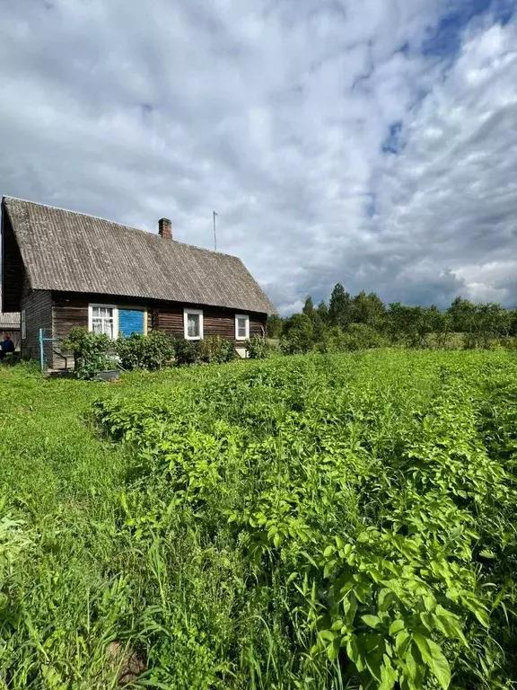 Дом в Псковская область, Печорский муниципальный округ, д. Большое ... - Фото 1