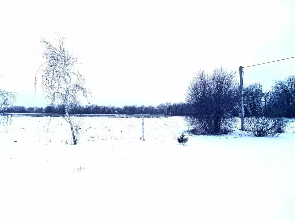 Участок в Ахтубинское сельское поселение, хутор Тутов, Раздольная ... - Фото 2