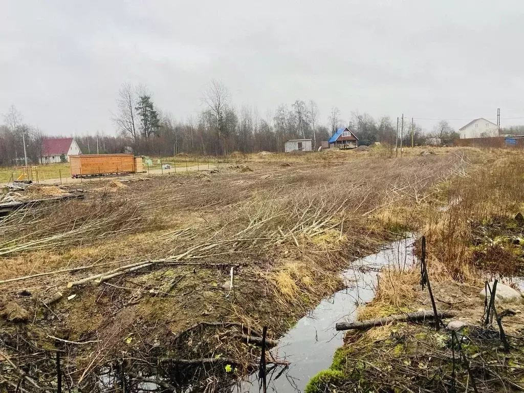 Участок в Ленинградская область, Приозерский район, Плодовское с/пос, ... - Фото 2