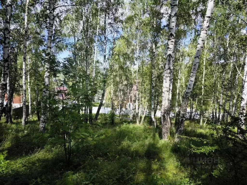 Участок в Челябинская область, Миасс Динамо мкр,  (15.0 сот.) - Фото 1