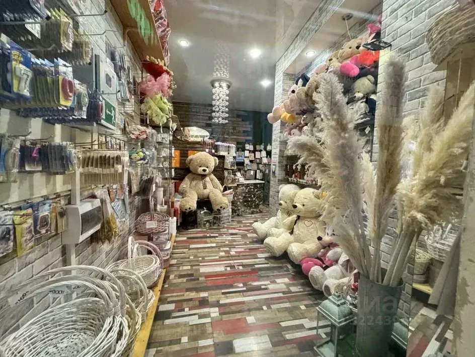 Помещение свободного назначения в Краснодарский край, Краснодар ... - Фото 1