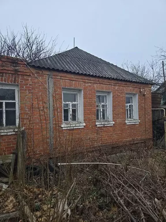 Дом в Белгородская область, Ракитянский район, Бобравское с/пос, с. ... - Фото 0